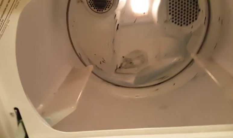 How to Get Ink Out of Dryer