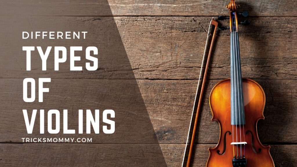 5 Best Types of Violins