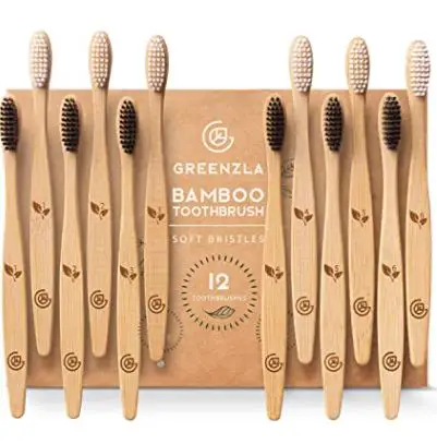 Differet Types of Toothbrushes: Greenzla Bamboo Toothbrushes 