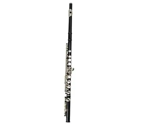 types of flutes: Concert Band Flute 