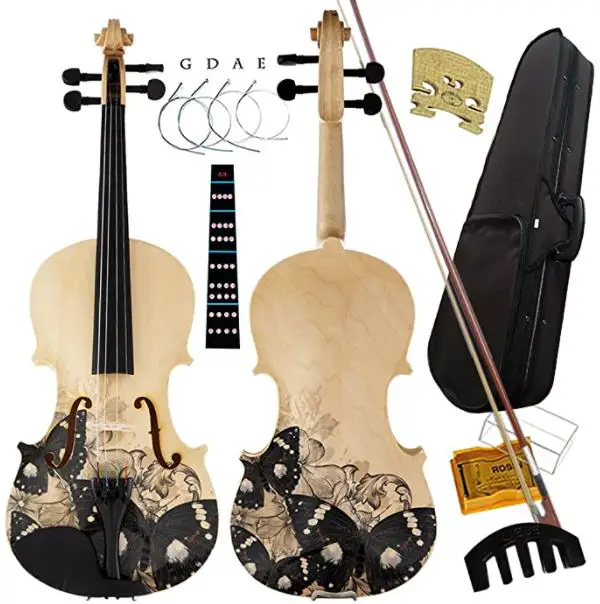 types of violins: Aliyes Distinctive Artistic Violin Set